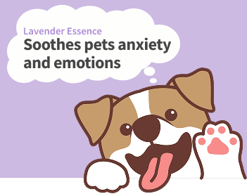Lavender essence Soothes pets anxiety and emotions 